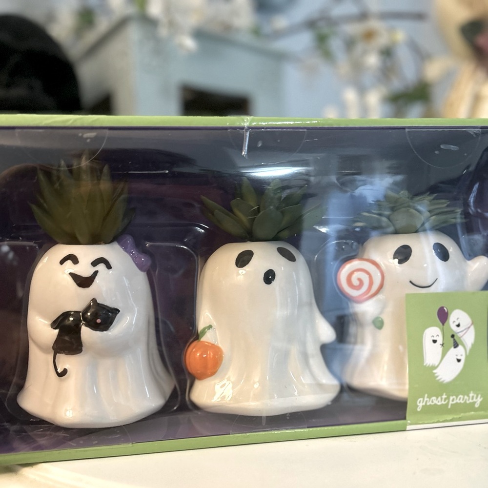 Set of 3 Ghost Planters with Succulents new in box